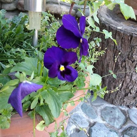 Nina B&B Dilijan Exterior foto